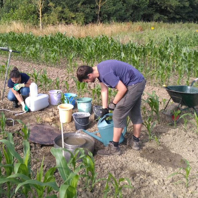 Développement d’une nouvelle zone humide de 3 ha (2020) | IPECO