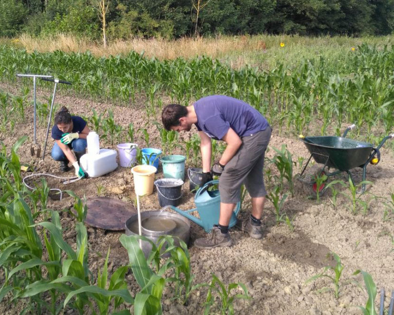 Développement d’une nouvelle zone humide de 3 ha (2020) | IPECO