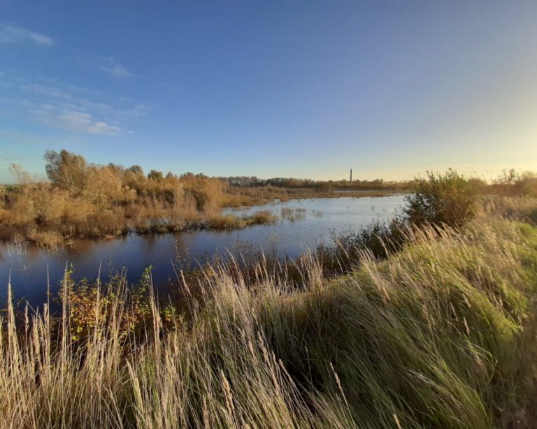 Suivi hydrologique argilière | IPECO