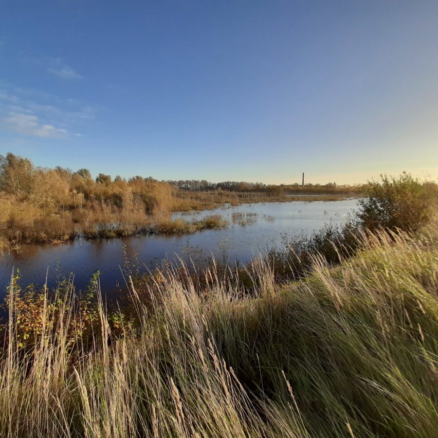 Suivi hydrologique argilière | IPECO