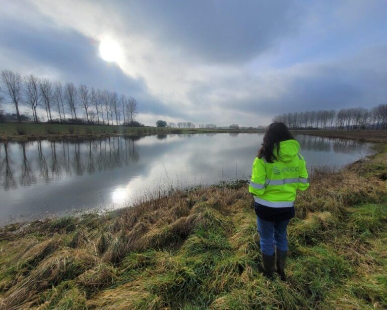 Lisa devant la zone humide ou mare écologique d'Esplechin
