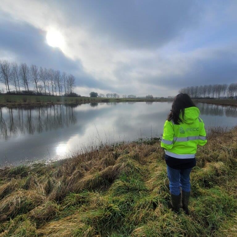 Lisa devant la zone humide ou mare écologique d'Esplechin